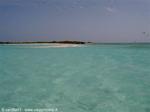 los roques... il paradiso esiste