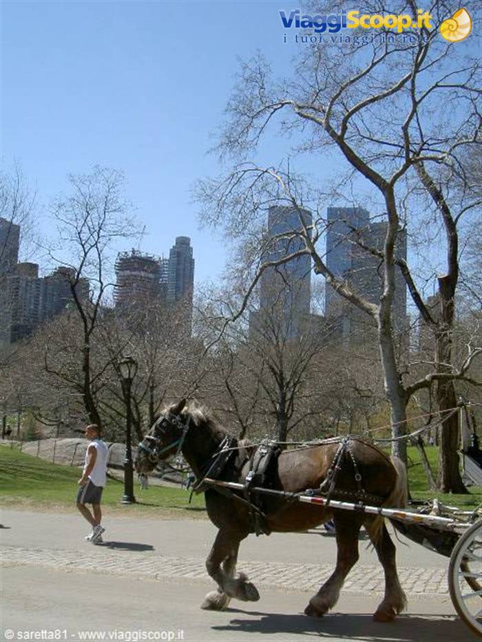 Foto di viaggio in STATI UNITI D'AMERICA