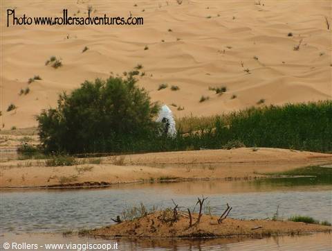 Sorgente 2 "Wahad"