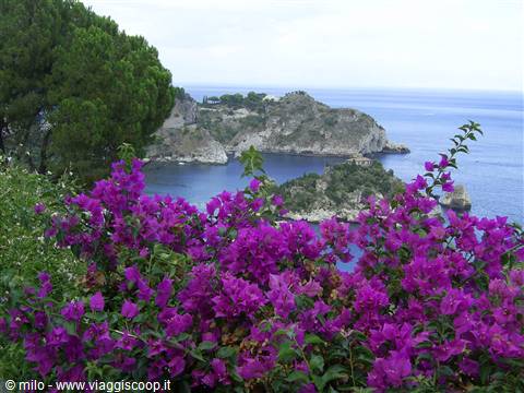 isola bella