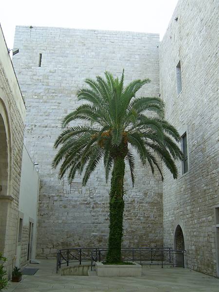 cortile interno castello di Trani