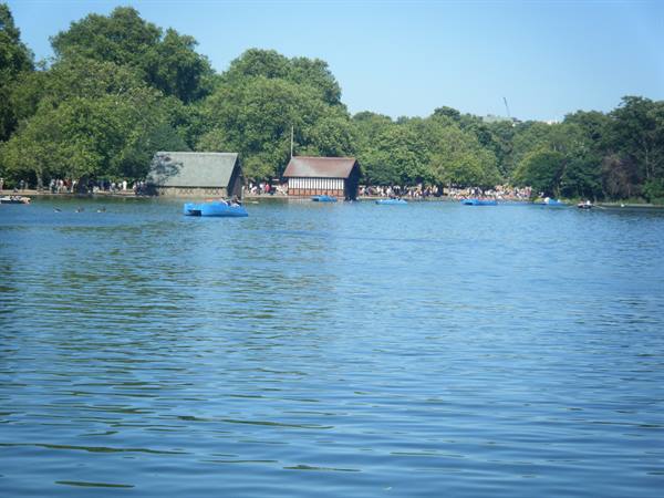 Hide Park