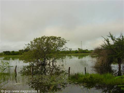 laguna de Terminos