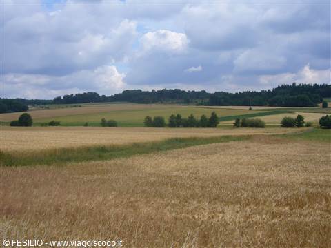 PAESAGGIO VERSO LAUTERBACH