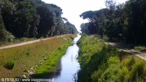 TORRE DEL LAGO - VERSO IL MARE