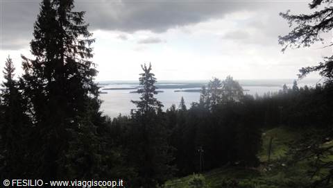 KOLI