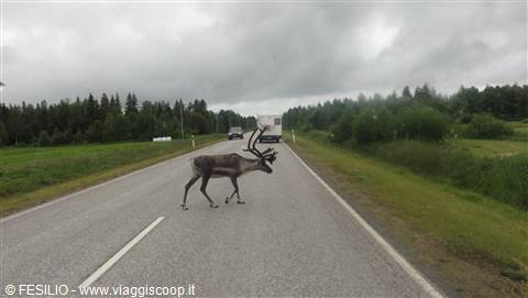 VERSO ROVANIEMI