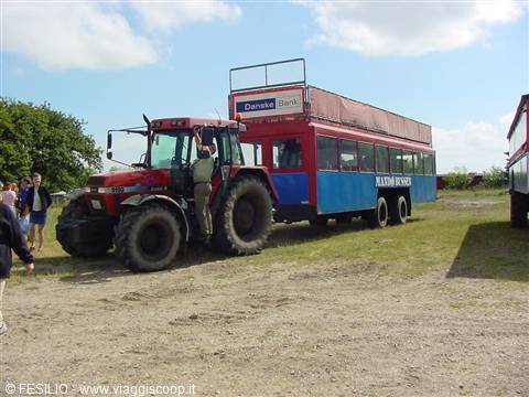"BUS" TURISTICO PER L'ISOLA DI MANDO