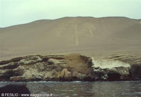 PISCO - IL CANDELABRO