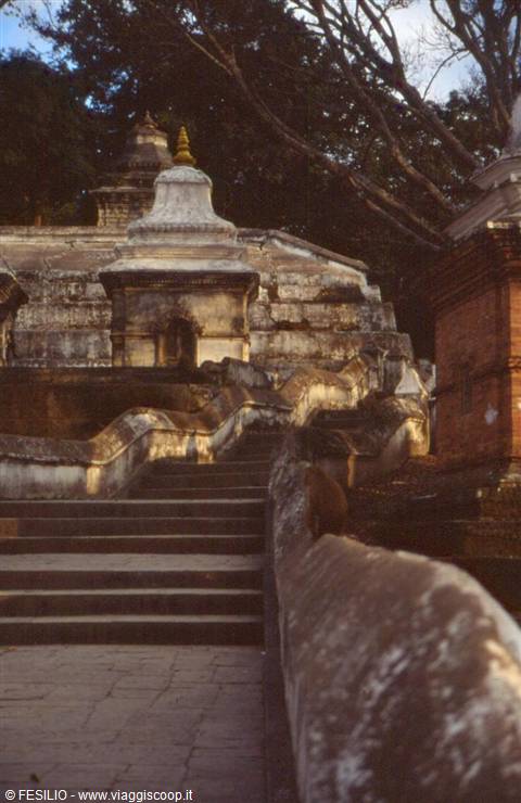 PASHUPATINATH