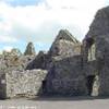 HOLYCROSS IRLANDA 