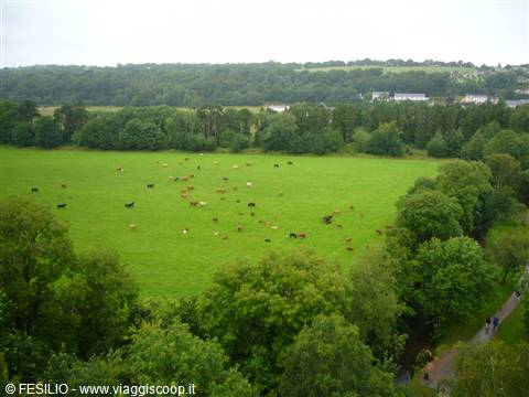 BLARNEY