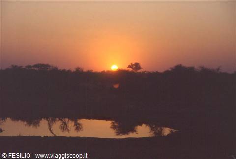 ETOSHA