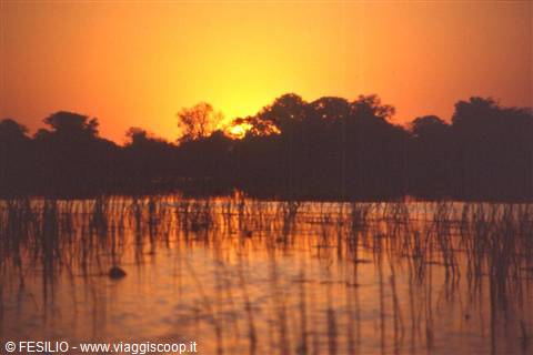 DELTA DELL'OKAVANGO