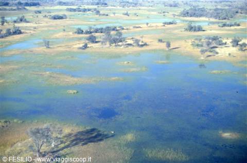 DELTA DELLOKAVANGO