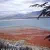 LAGO ARGENTINO ARGENTINA 