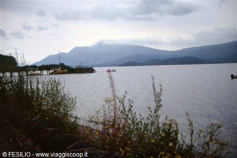 LOC LOMOND