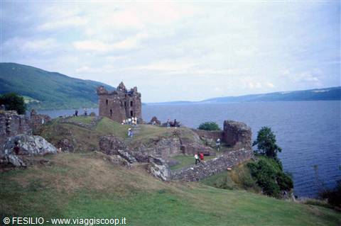 LOC NESS