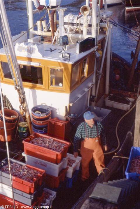 ULLAPOOL