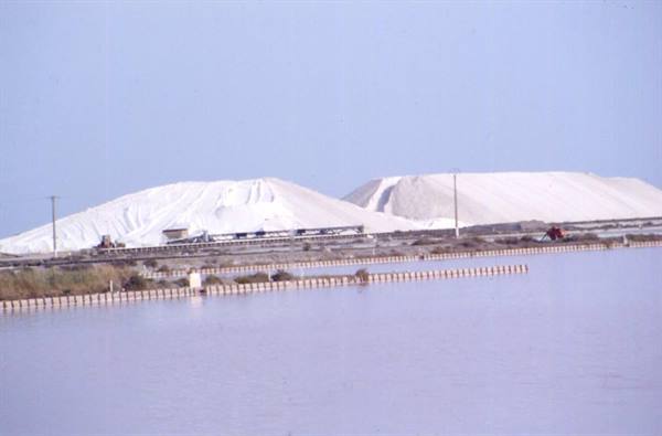 AIGUES MORTES