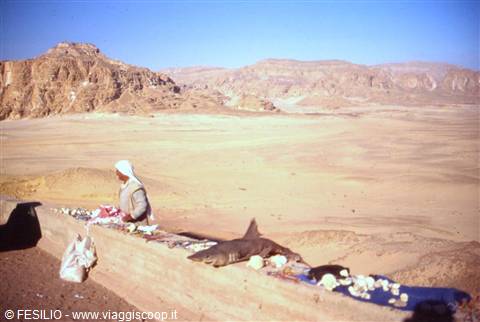 SINAI - VALLE DEI CERBIATTI