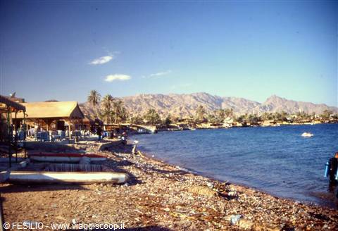 DAHAB