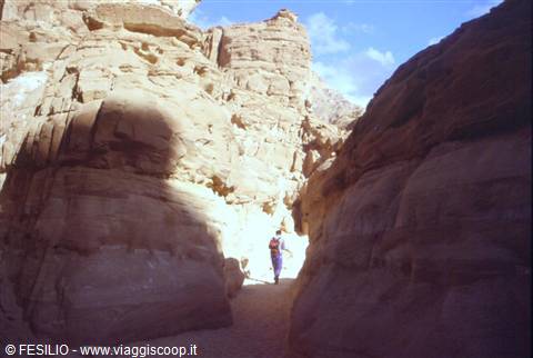CANYON COLORATO