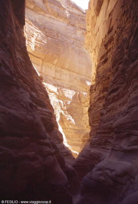 CANYON COLORATO