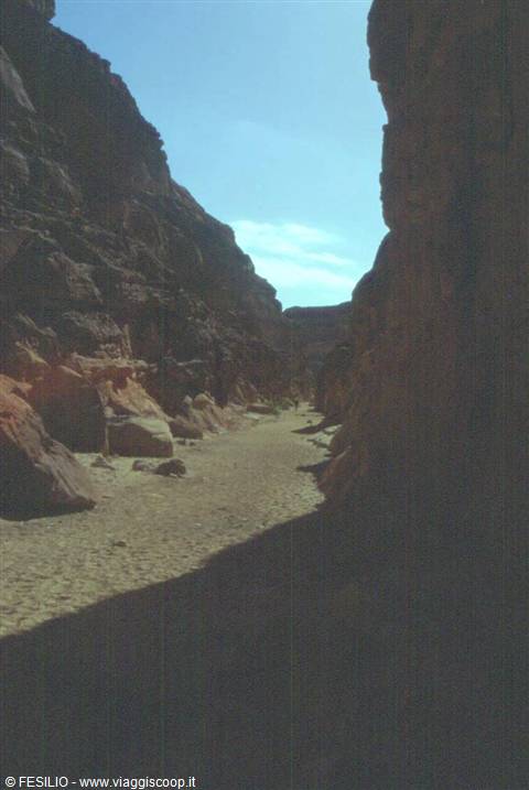 CANYON COLORATO