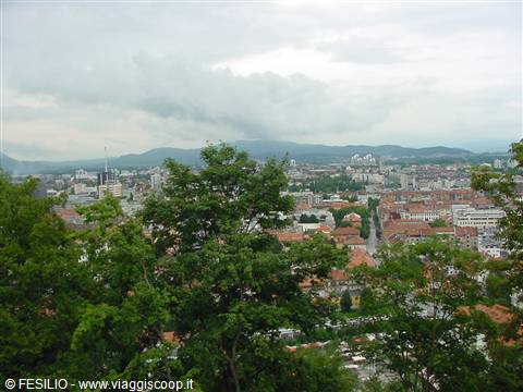 PANORAMA