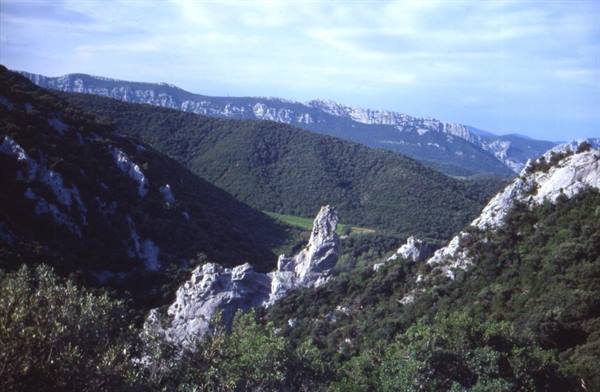 GOLA DI SANT PAUL