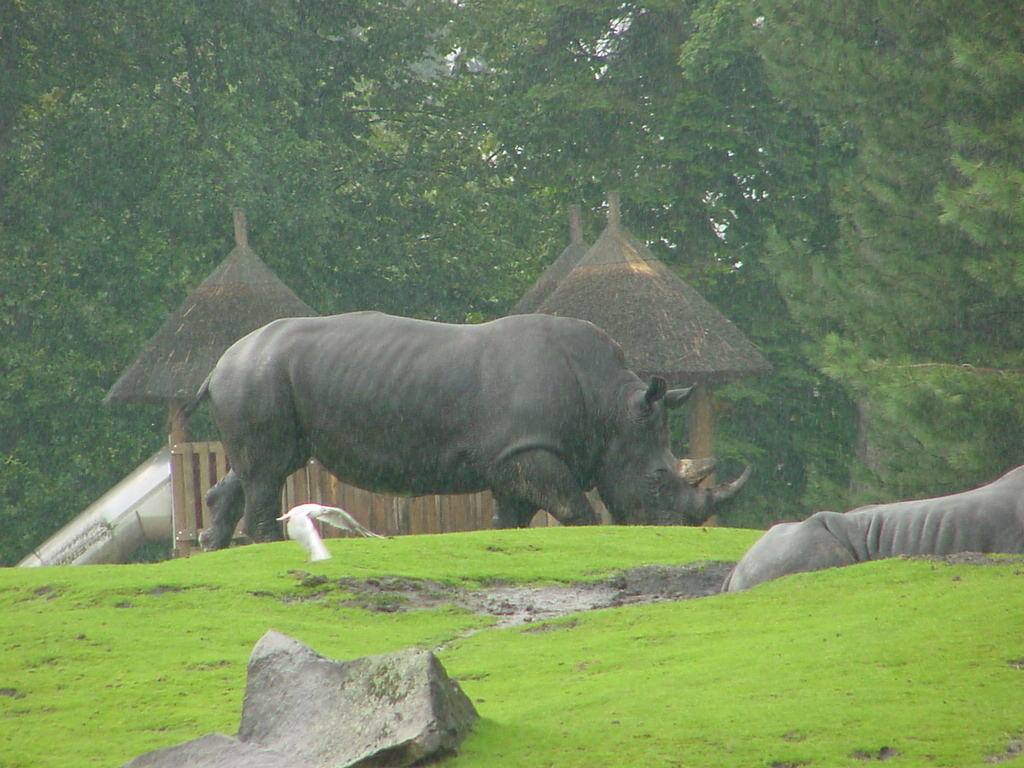 EMMEN