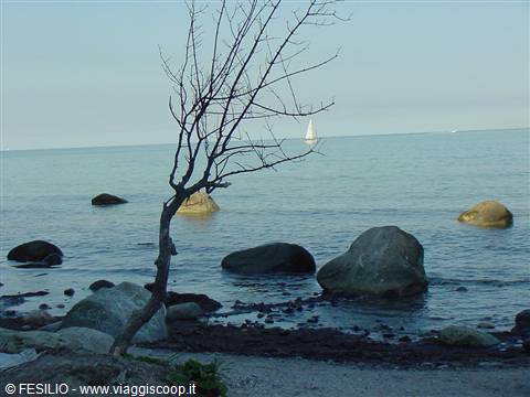 MONS KLINT