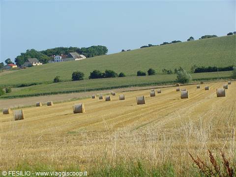 VERSO MARSTAL