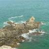 POINT GROVIN FRANCIA 