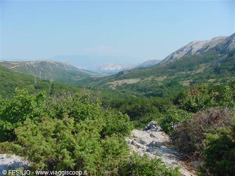 VERSO BASKA