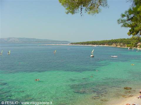 BRAC