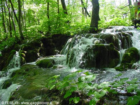 PLITVICE