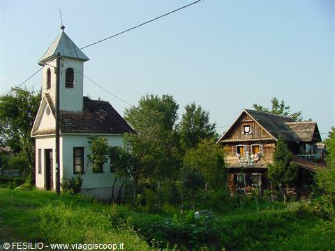 CIGOC