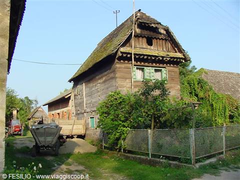 CIGOC