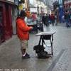  IRLANDA 