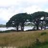  IRLANDA 