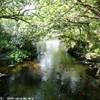  IRLANDA 