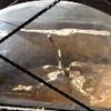 La spada nella roccia ITALIA 