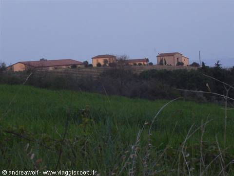 Consorzio Cariplo (Trequanda)