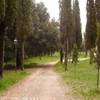 Il parco del vecchio Molino a Vento (Trequanda) ITALIA 