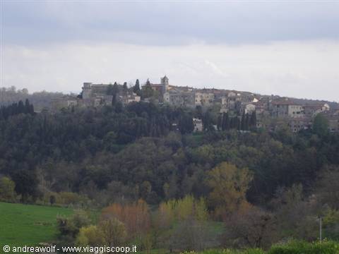 Vista del Borgo di Trequanda (SI)