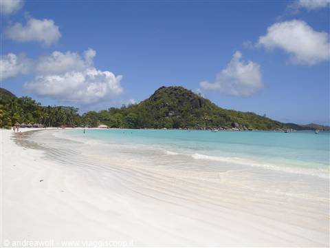 Cote d'Or