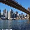 Il ponte visto dal quartiere di Brooklyn STATI UNITI D'AMERICA 