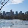 Central Park STATI UNITI D'AMERICA 